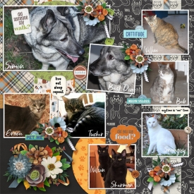 Our_Pets_700.jpg