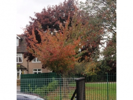 PA230229.JPG