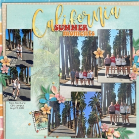 Palm_Tree_Lane_CBU_Aug_20_2022_smaller.jpg