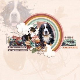 Pawprints_to_Heaven_WP_700.jpg