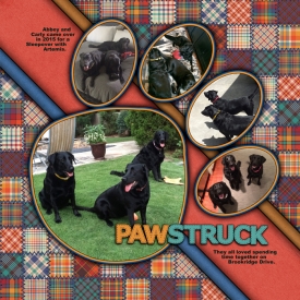 Pawstruck.jpg