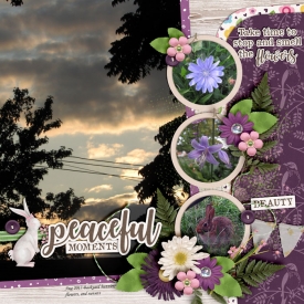 Peaceful_Moments_Aug_2017_smaller.jpg