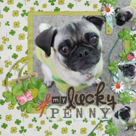 Penny-Lucky-0311.jpg
