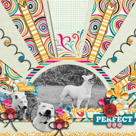 PerfectDog-700.jpg