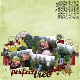 PerfectTree2008Web.jpg