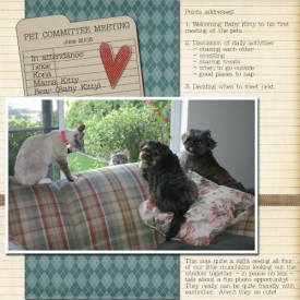 Pet-Committee-Meeting-06_.jpg