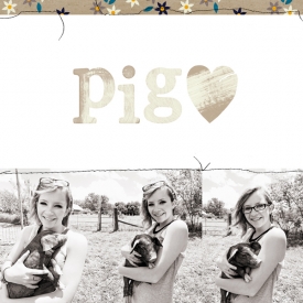 Pig.jpg