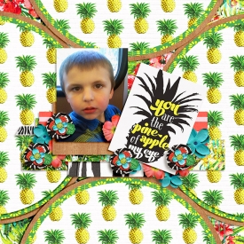 Pineapple-of-My-Eye1.jpg