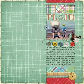 PlaidWeb.jpg