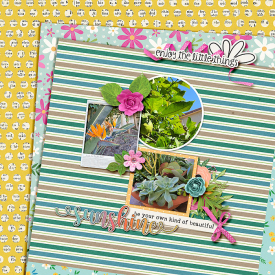 PlantLove-web.jpg