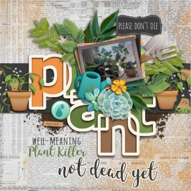 Plant_Killer_March_2025_smaller.jpg