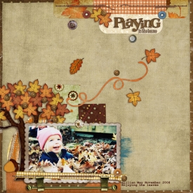 PlayinginLeaves2008.jpg