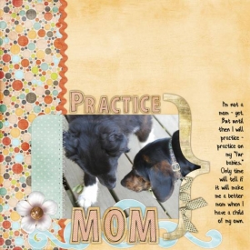 Practice-Mom.jpg