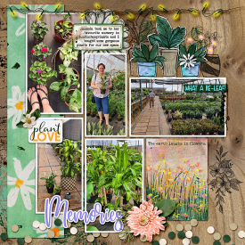 PrettyPlantsWeb.jpg
