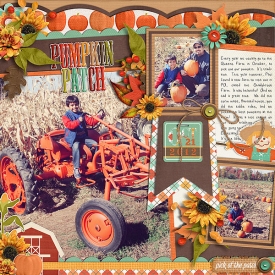 Pumpkin-Patch8.jpg