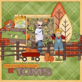 Pumpkin-Patchin-at-Toms.jpg