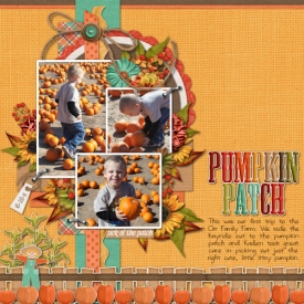 Pumpkin_Patch_2011.jpg