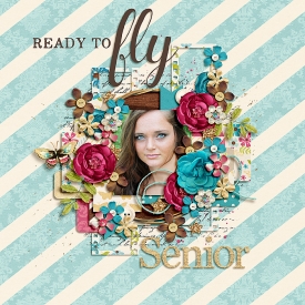 ReadyToFly_SSD_mrsashbaugh.jpg
