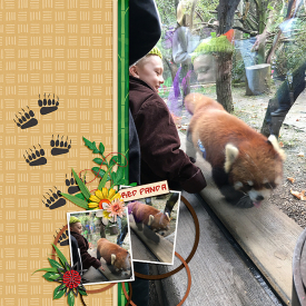 RedPanda.jpg