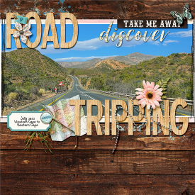 RoadTrippin-Web.jpg