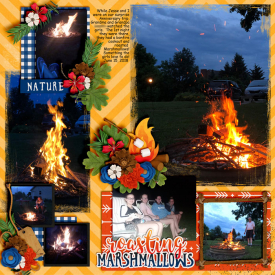 Roasting_Marshmallows_June_15_2018_smaller.jpg
