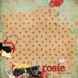 Rosie-Welcome-Home-031310-copy.jpg