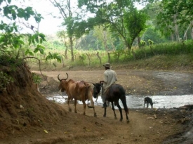 Rural1.jpg