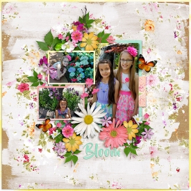 SBD---Addiction-Flowers-_HSA-Bling-it-on-_1_-copy.jpg