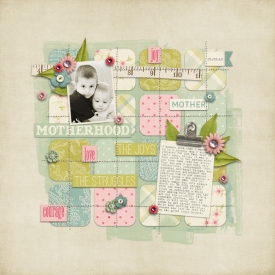SPP_laurap-celebratingmotherhood-layout001.jpg