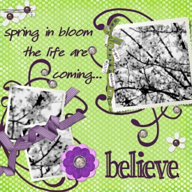 SPRING_IN_BLOOM_5x5_.jpg