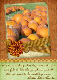 SSD-ATC-Fall.jpg