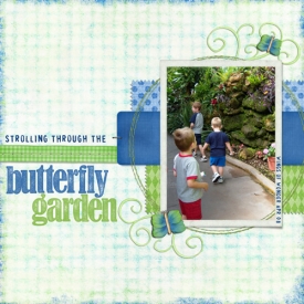 SSD-Butterfly-Garden.jpg