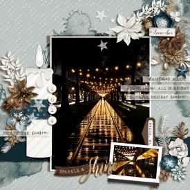 SSD-CHALLENGE_NOV24_DAY11B_SPARKLE-AND-SHINE_VRIELINKIE.jpg