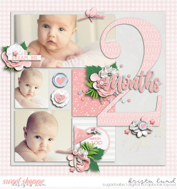 SSD-KL-2010_03Em2month.jpg