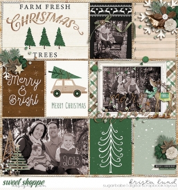 SSD-KL-2013_12-MerryandBright.jpg