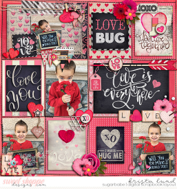 SSD-KL-2017_02-LoveBug.jpg