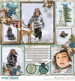 SSD-KL-2017_03-WinterWishes.jpg