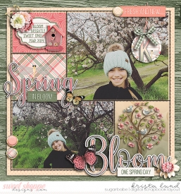 SSD-KL-2019_03-BloomSweetOne.jpg