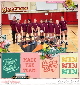SSD-KL-2022_04-MMSVolleyballEmily-copy.jpg