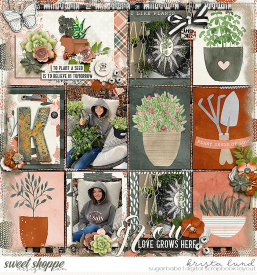 SSD-KL-2022_04-SeedsofLove.jpg