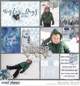 SSD-KL-JAN2016-SnowDay.jpg