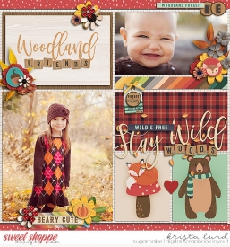 SSD-KL-ljs-ss2-temp1-2010_11-BearyCute.jpg