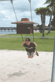 SSD-SS26.gif