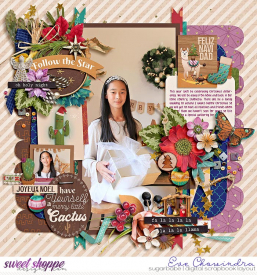 SSD-bmageewendypcanyonchristmas-27Nov.jpg