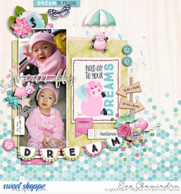 SSD-digiPigsfly-29May20.jpg
