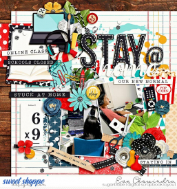 SSD-dsihome-27Mar20.jpg