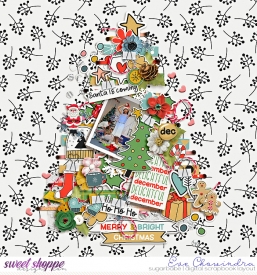 SSD-eve-ayidecemberdelight-14Dec24.jpg