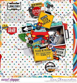 SSD-eve-cmglearn2drive-15May21.jpg