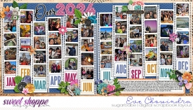 SSD-eve-cschneiderrecap24-14Dec24.jpg
