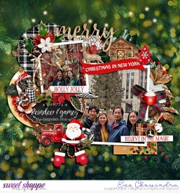 SSD-eve-dsireindeerdrive-28Nov24.jpg